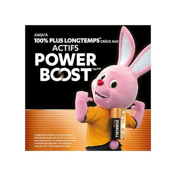 Engångsbatterier - Duracell - LR03 - Plus Power - Paket med 12 - 1,5 V