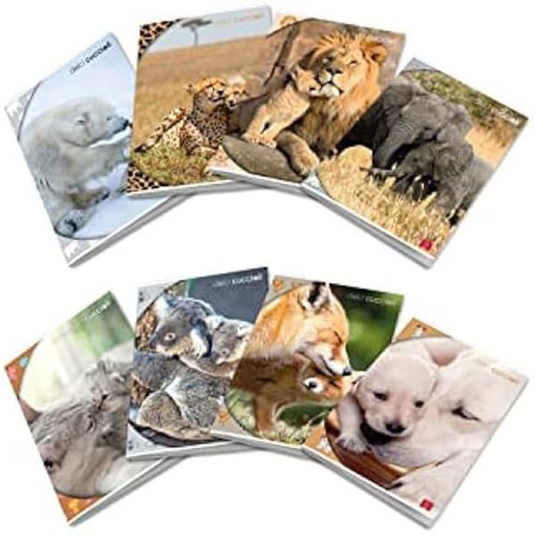 Cahier - PIGNA - Maxi A4 randig 0C - 80 ark - Blandat mångfärgad