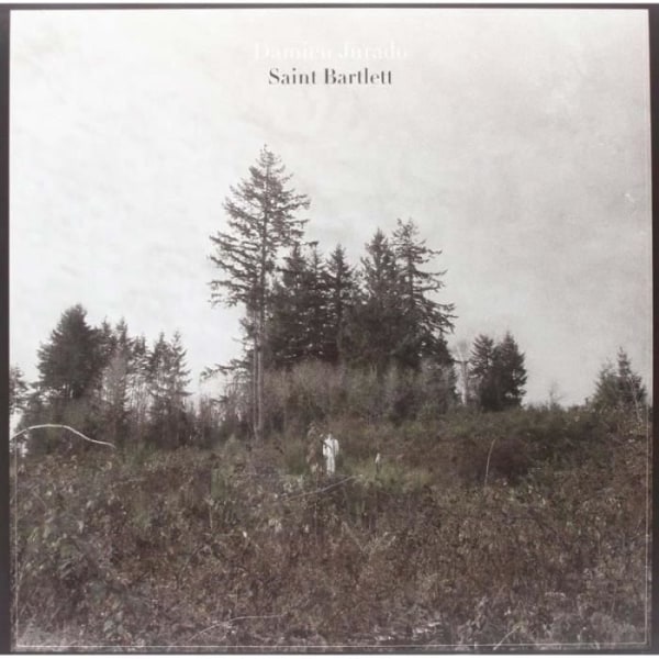 Saint bartlett av Damien Jurado (Vinyl)