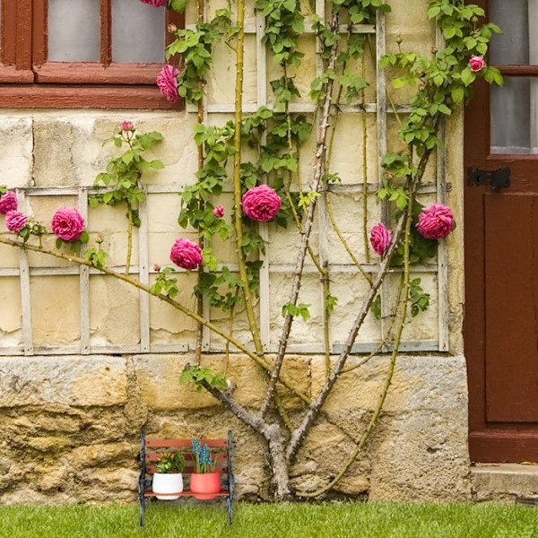 Relaxdays blomsterbänk, gjutjärn och trä, växtstöd för blomkrukor, olika dimensioner, brun/grön-grå brun, grå