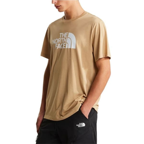 The North Face T-shirt Evolution Half Dome Beige - NF0A8B6JLK5 beige S