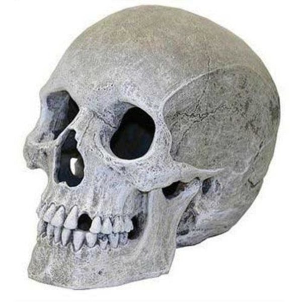ROSEWOOD Mycket realistisk akvariedekor för mänsklig skalle - 91358
