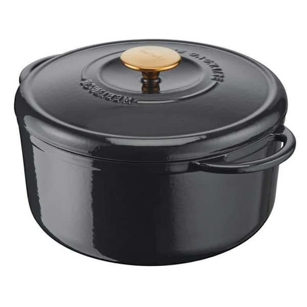 Stewpot - Tefal stockpot - E2570504
