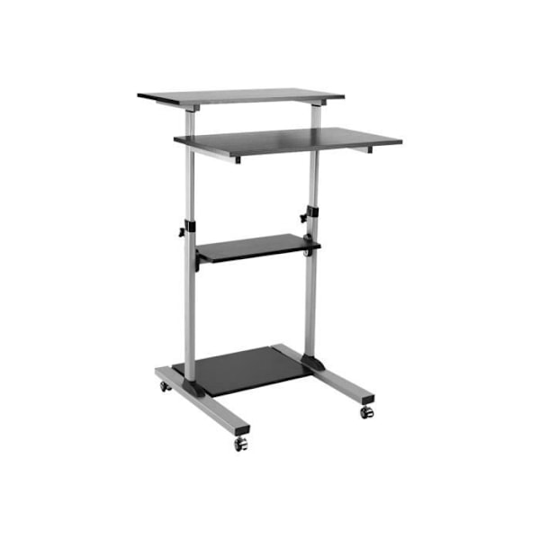 ROLINE PC Standing Workstation Stativ för LCD-skärm-tangentbord-mus-central enhet-skrivare plast, grå metall, svart