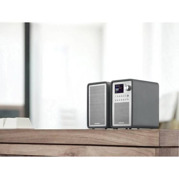 SANGEAN WFR-70 Internetradio - DAB+ - FM-RDS - USB - Stereo - 2,4" LCD-skärm