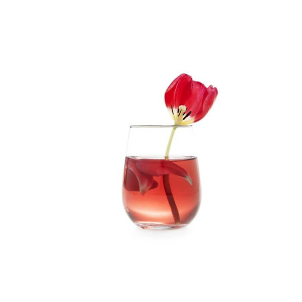 Excelsa - 65442 - Platina Set med 6 vattenglas, blåst glas, silvertrådskant, 470 ml