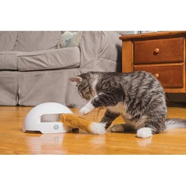 Interaktiv leksak - PetSafe - Automatisk räv - Rörelsedetektor - För katt - Inomhus