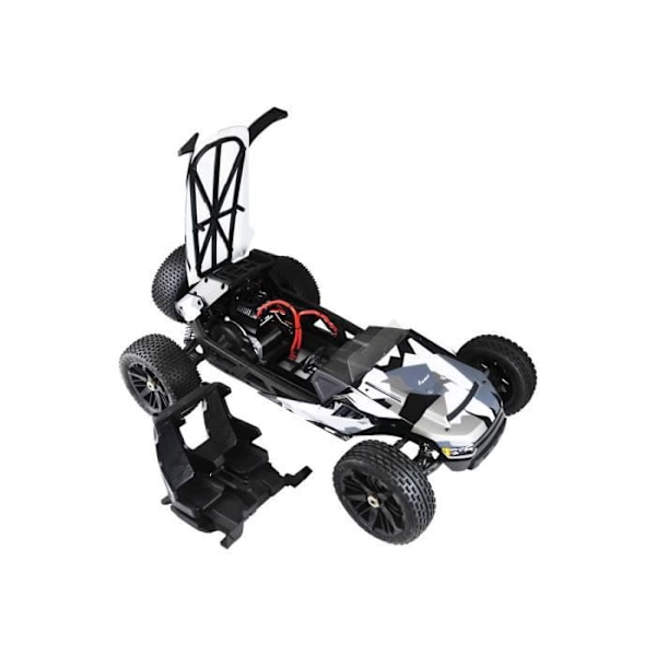 AMEWI Buggy Hammerhead V2 Brushless 2WD - ARTR RC