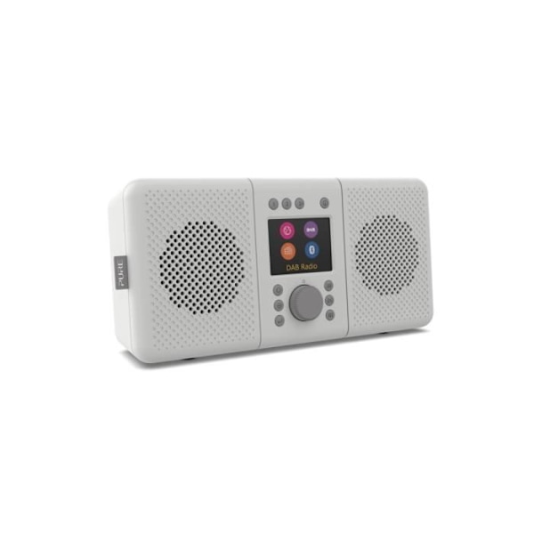 Radio Internet - PURE - Elan Connect+ - TFT-skärm 2,4 tum - Bluetooth 4.2 - Kompakt Grå