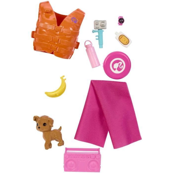 BARBIE - BARBIE BARBIE SURFDOLL + ACCY (CP6) - 21A - docka - 3 år och + Flerfärgad