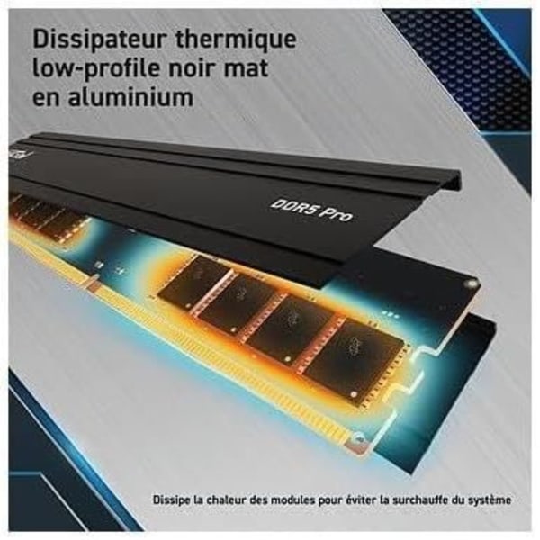RAM-minne - CRUCIAL - PRO DDR5 - 24GB - DDR5-5600 - UDIMM CL46 (CP24G56C46U5)