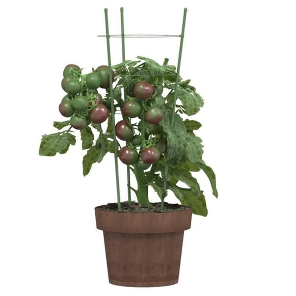 Stöd för trädgårdsväxter 3 ringar 5 st Grön 45 cm Stål Grön