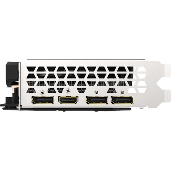 GIGABYTE - GeForce RTX 2060 D6 grafikkort - 6GB - GV-N2060D6-6GD