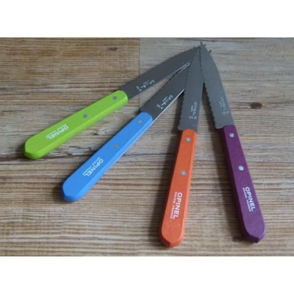 Tandkniv - Opinel - N° 113 - Rostfritt Stål - Klinge 10 cm - Mikro-tandning