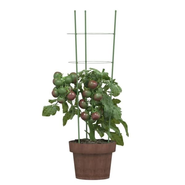 Stöd för trädgårdsväxter 3 ringar 5 st Grön 60 cm Stål Grön