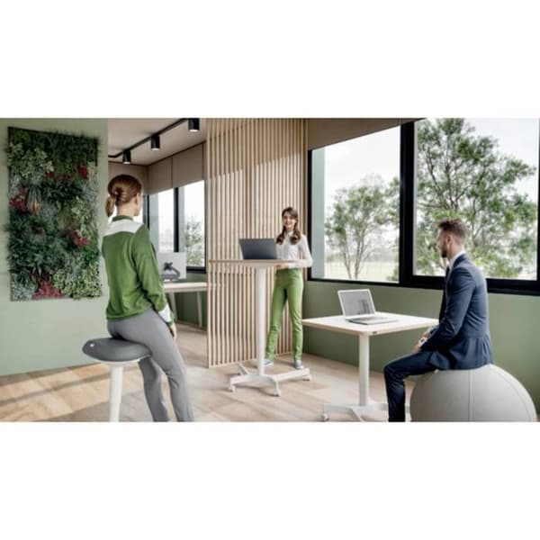 Leitz Pall ljusgrå 65440085 Ljusgrått