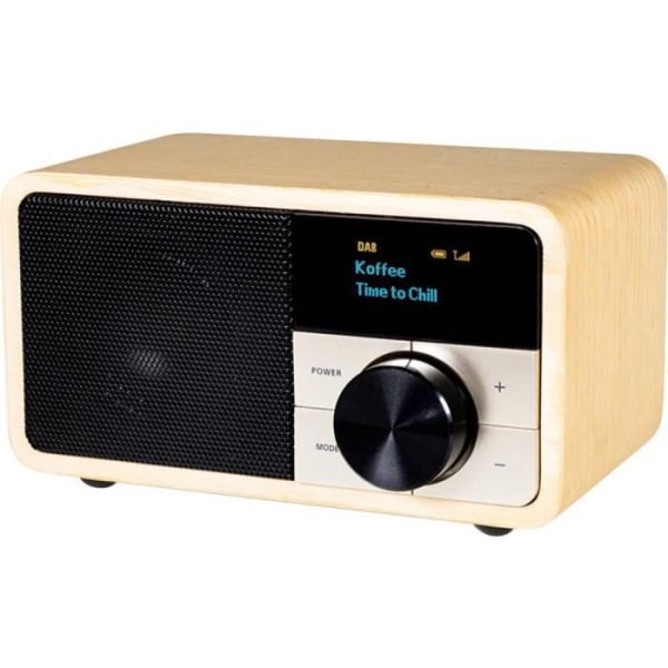 Kathrein DAB+ 1 minibordsradio DAB+, FM DAB+, FM, Bluetooth trä (klar)