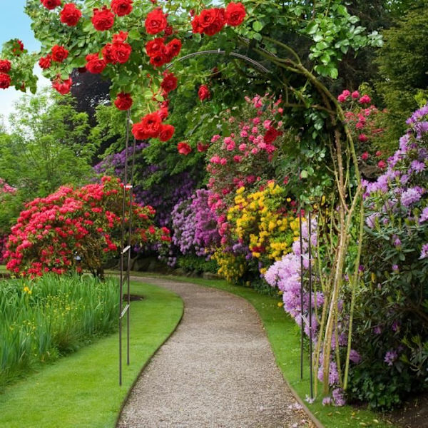 Rose Arch - Relaxdays - Stålmetall - 240 cm - Mörkbrun - Klätterväxthandledare mörkbrun, svart