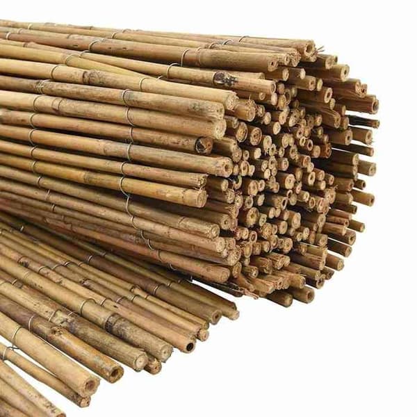 vidaXL Naturlig bambu stängsel 500 x 150 cm Bambu 42006524