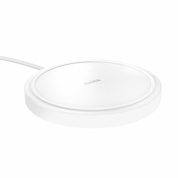 SanDisk Professional iXpand