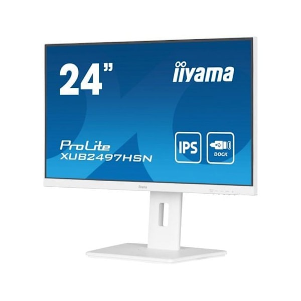 iiyama ProLite XUB2497HSN-W2