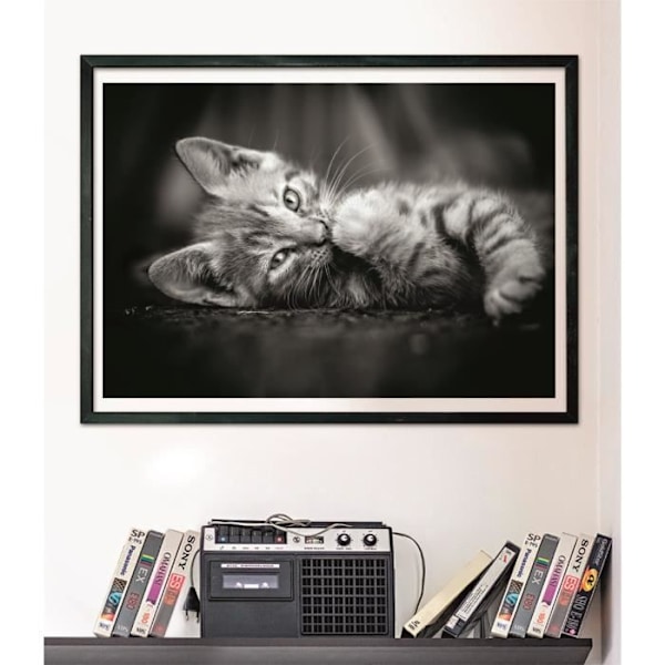 CLEMENTONI - Compact 1000 bitar - Kitty