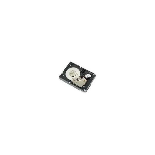 DELL hårddisk - 3,5" intern - 2 TB - SATA (SATA/600) - 7200rpm