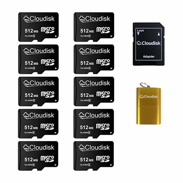 Minneskort - Cloudisk flashminne - 10PACK256MBCDB
