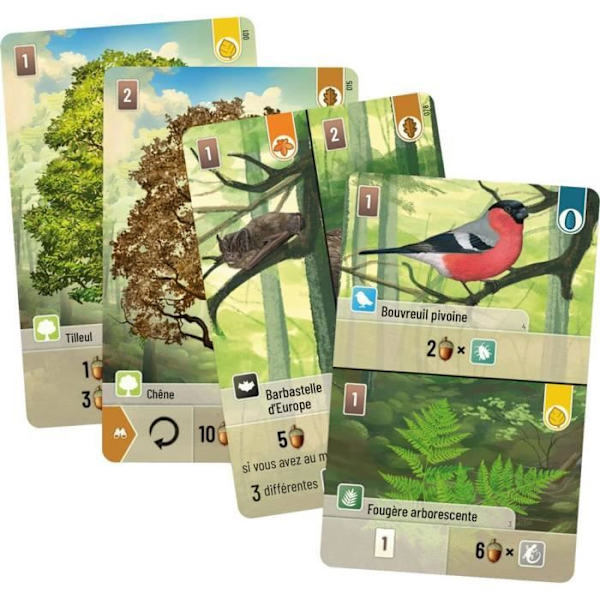 Asmodee - LKGFOM01FR - Blandad drill - Brädspel