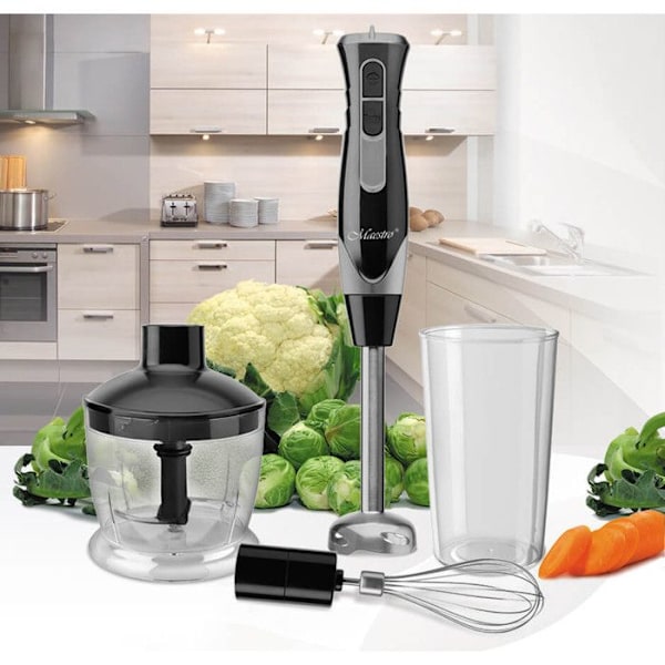 Blender Maestro, 500W, Turbofunktion, 900ml behållare, MR-566