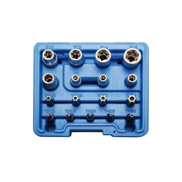 Hylssats E-profil / T-profil (för Torx) 17 st