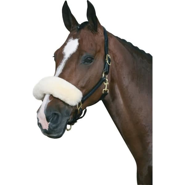 HorseGuard nosgrimsslida