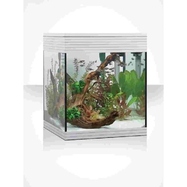 Askoll Akvarium Pure LED, M, Vit - AA350046