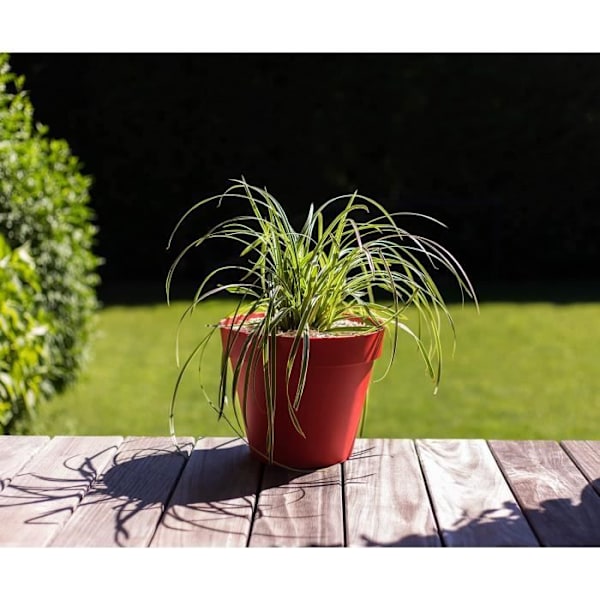 EDA Rund toskansk blomkruka - Ø 30 x H 26 cm - 10 L - Rubinröd rubinröd