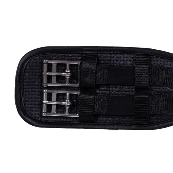 QHP Basic Pro ridtränsrem - svart - 65 cm svart