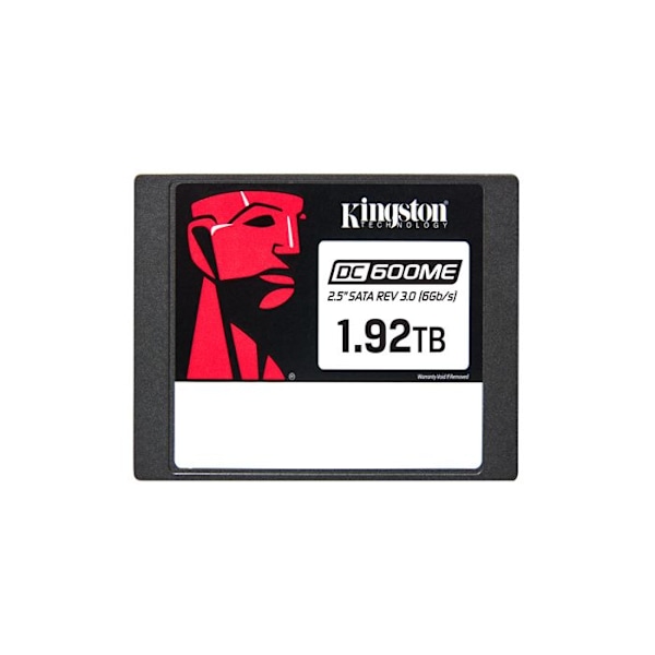 KINGSTON 1920Go DC600ME Bland-