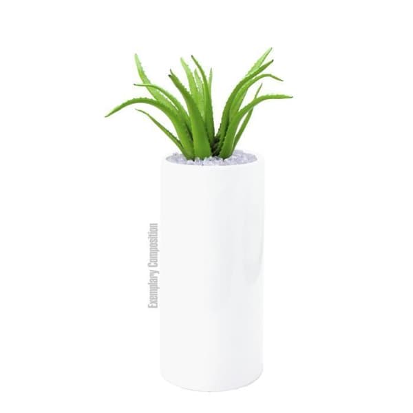Aloe vera växt 63cm