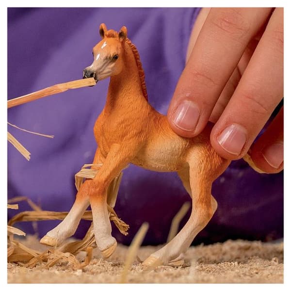 Hästfigur - SCHLEICH - Arabisk Föl - Vit - Inomhus - För Barn Vit