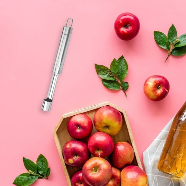 Vide pomme i rostfritt stål Fackelmann Ovala Grå