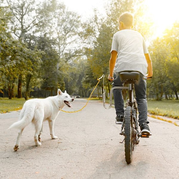 Stöd med Hundkoppel - RELAXDAYS - Silver - Cykelfäste - Medium Storlek - Stötdämpande Fjäder silver-