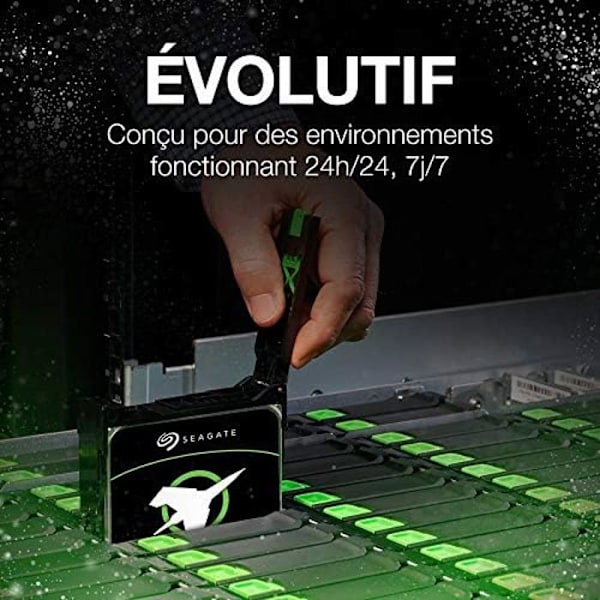 SEAGATE Exos 7E10 10 TB intern hårddisk - 3,5 tum SAS 12 Gbit/s 7200 RPM