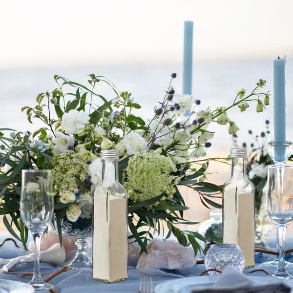 Relaxdays Små glasflaskor, set med 16, flaskor för sprit, oljor, 250 ml, skruvkork, transparent transparent, silver