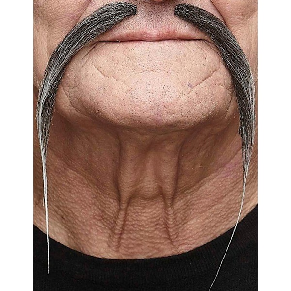 Vuxen grå kinesisk mustasch Grå