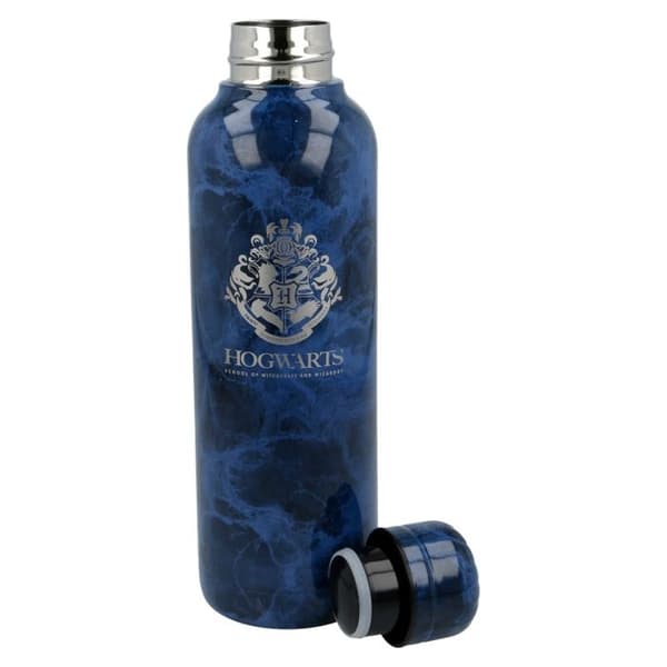 Flaska - Harry Potter - 515ml - Rostfritt stål - Cylindrisk - Blå