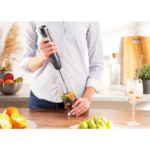 BLENDER RÄNCH BERLINGER HAUS BH-9382
