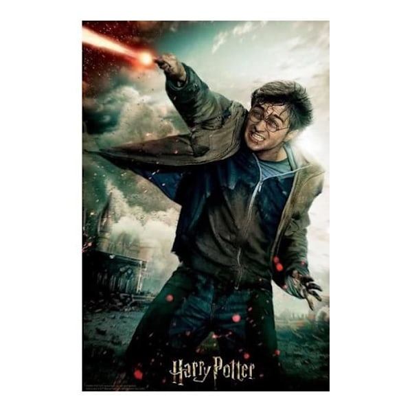 Harry Potter Battle Prime3D 3D-pussel (300 st) - Harry Potter-licens - Svart - För barn från 6 år och uppåt Svart