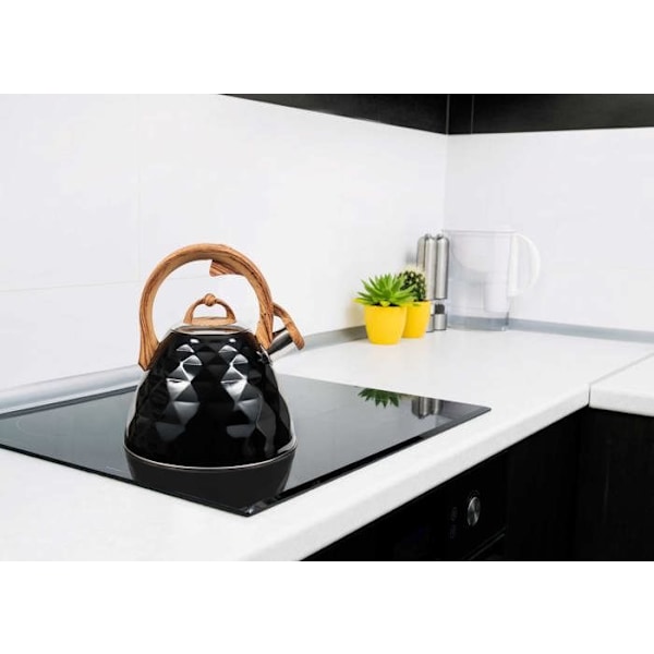 Bouilloire Promis TMC20BD LUCA 2,8 L
