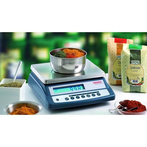 Precisionsvåg - SOEHNLE - Professional 9241 - 3 kg - Precision 0,1 g - Inbyggt batteri Grå