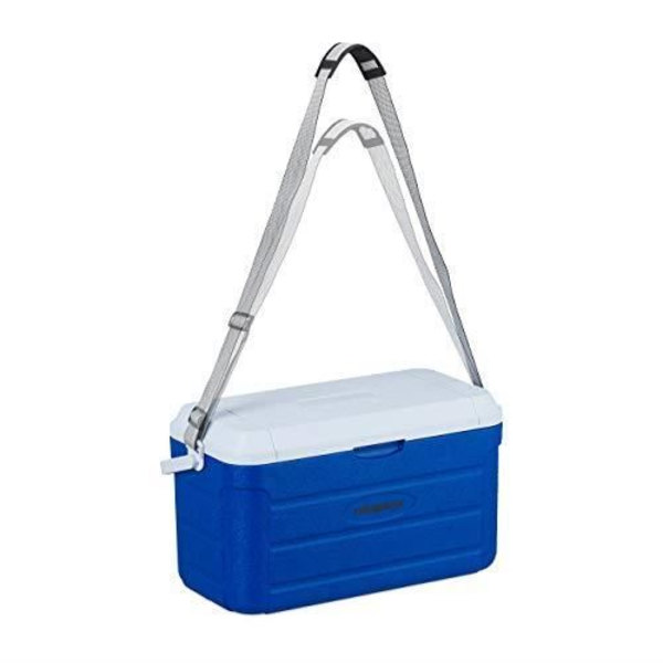Bärbar kylare - RELAXDAYS - 20 L - Fräsch - Blå Blå
