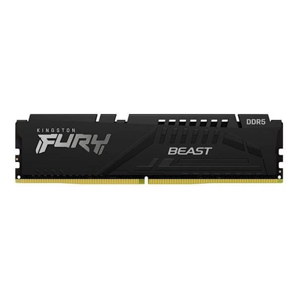 Minnesmodul - Kingston - Kingston FURY Beast - DDR5 - modul - 32 GB - 288 pin DIMM - 6000 MHz / PC5-48000 - minne utan ta